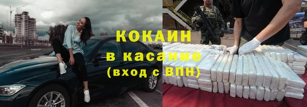 сатива Гусев