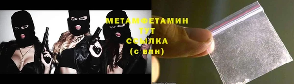 сатива Гусев