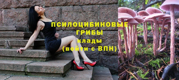 mix Гусь-Хрустальный