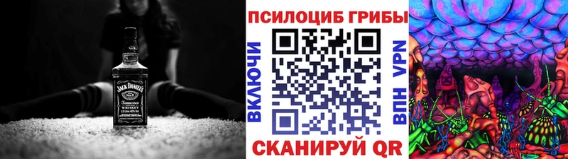 где найти наркотики Дубовка Галлюциногенные грибы MAGIC MUSHROOMS